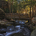 Old wooden bridge over Pond Run Creek.